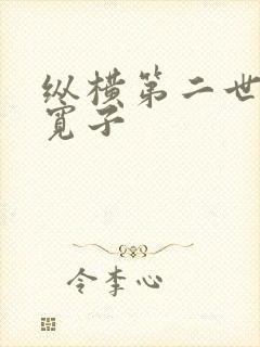 纵横第二世界 宽子
