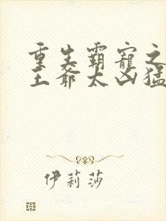 重生霸宠之摄政王爷太凶猛