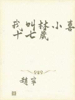 我叫林小喜今年十七岁封面