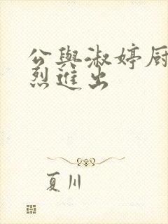 公与淑婷厨房猛烈进出