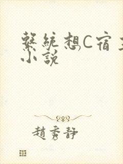 系统想C宿主的小说