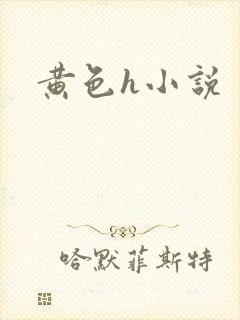 黄色h小说