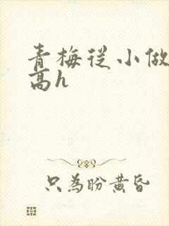 青梅从小做到大高h