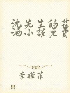 沈先生的花式调酒小说免费阅读