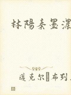 林阳秦墨浓度