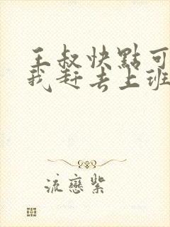 王叔快点可以吗我赶去上班封面