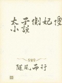 太子侧妃傻乎乎小说