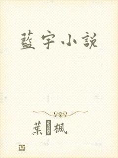 蓝宇小说