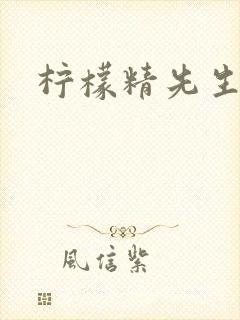 柠檬精先生