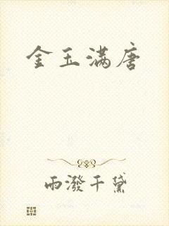 金玉满唐封面