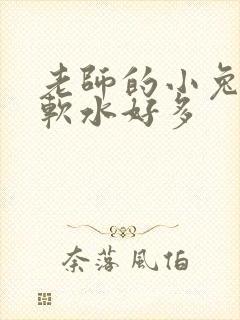 老师的小兔子好软水好多
