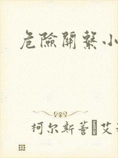 危险关系小说
