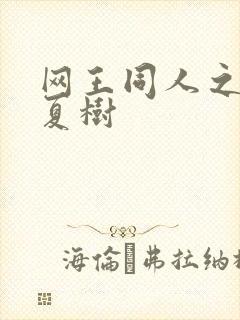 网王同人之桃生夏树