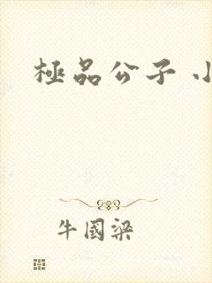 极品公子 小说封面