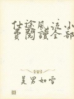 仕途风流小说免费阅读全部章节封面