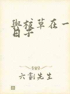 与校草在一起的日子