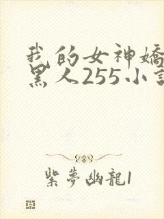 我的女神娇妻与黑人255小说封面