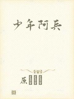 少年阿兵封面