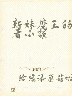 新妹魔王的契约者小说