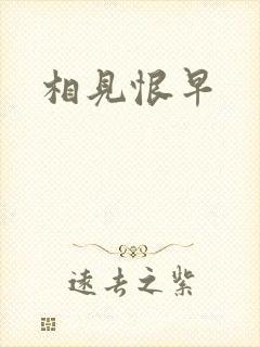 相见恨早