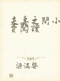 夫妻之间小说免费阅读