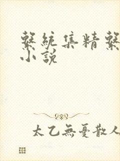 系统集精系统 小说