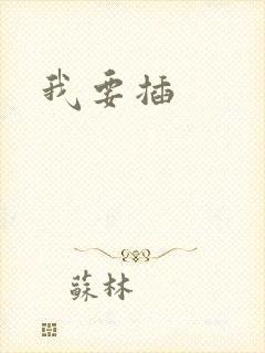 我要插