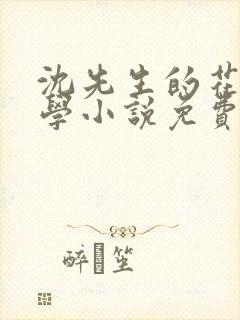 沈先生的花式教学小说免费