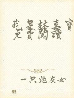 我是林喜宝小说免费阅读