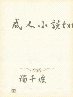 成人小说txt