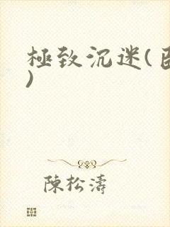 极致沉迷(臣年)封面
