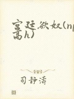 宫廷欲奴(np高h)