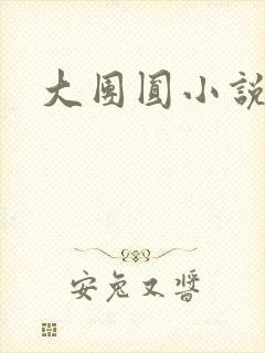 大团圆小说