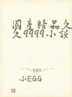 国产精品久久久久9999小说
