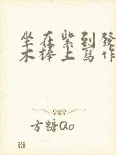 坐在紫到发黑的木棒上写作业