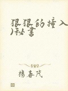 狠狠的撞入(h)秘书