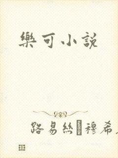 乐可小说封面