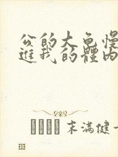 公的大龟慢慢挺进我的体内视频
