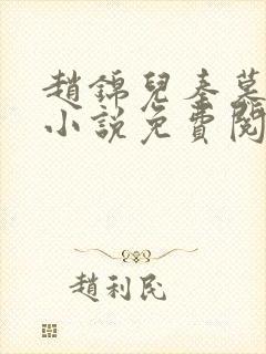 赵锦儿秦慕修的小说免费阅读全文