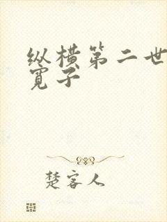 纵横第二世界 宽子