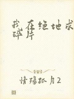 我在绝地求生捡碎片