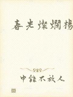 春光灿烂杨家将