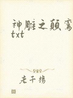 神雕之颠鸾倒凤txt
