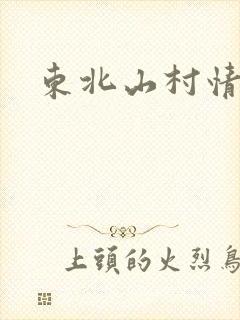 东北山村情事封面