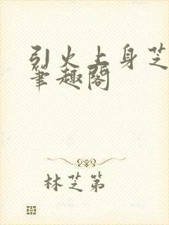 引火上身芝麻糖笔趣阁封面