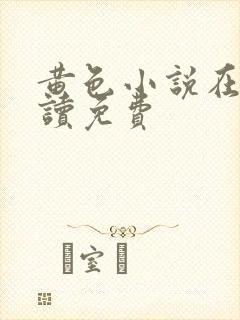 黄色小说在线阅读免费