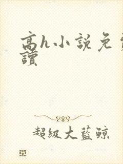 高h小说免费阅读