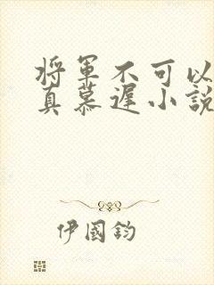 将军不可以魏云真慕迟小说笔趣阁