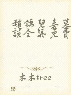 赵锦儿秦慕修小说全集免费