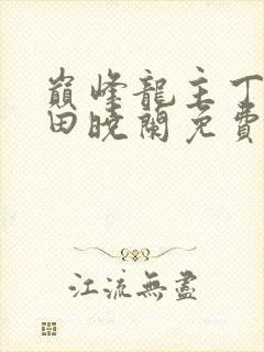 巅峰龙主丁长顺田晓兰免费阅读